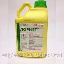 Лорнет, ВР