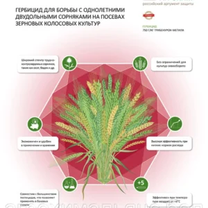 Гранат, ВДГ