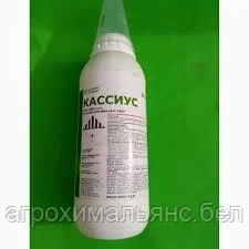 Кассиус, ВРП