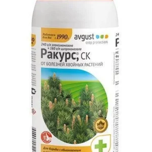 Ракурс СК