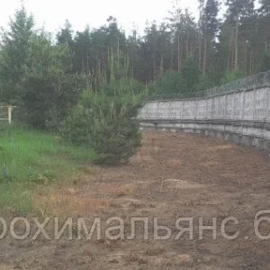 Форус