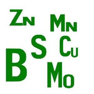 Микроудобрения